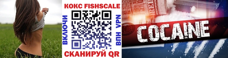 продажа наркотиков Новокузнецк COCAIN Эквадор
