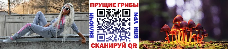Галлюциногенные грибы MAGIC MUSHROOMS  нарко площадка Telegram  Новокузнецк  MEGA ссылки 