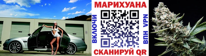 МАРИХУАНА SATIVA & INDICA Новокузнецк